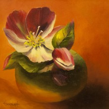 Hellebores-SOLD