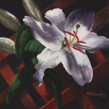 Casa Blanca Celebration–PC