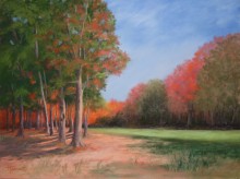 The Straight and Narrow